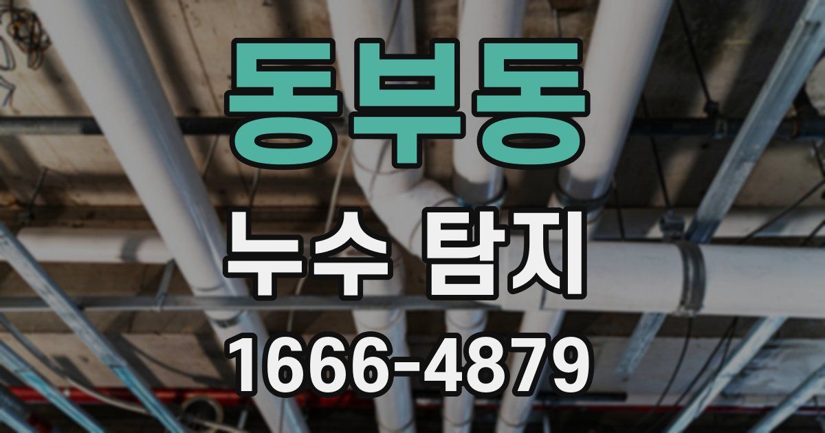 동부동 누수 탐지