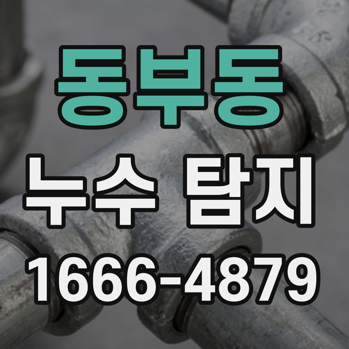 동부동 누수 탐지