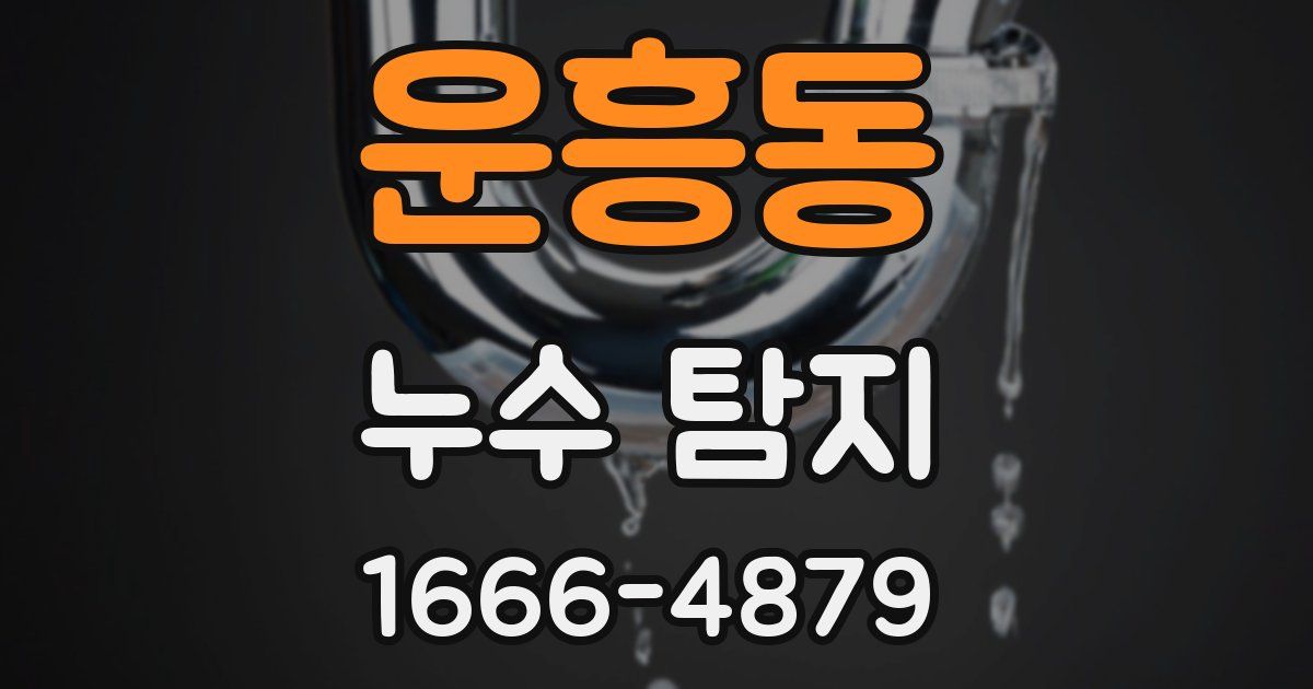 운흥동 누수 탐지