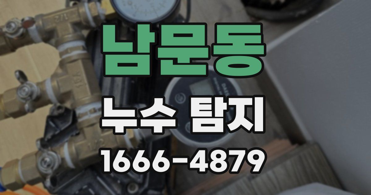 남문동 누수 탐지