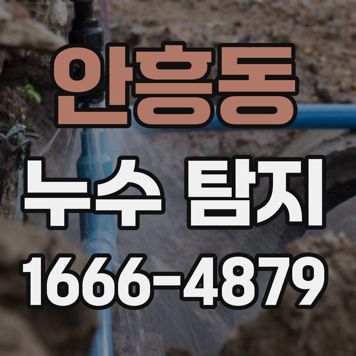안흥동 누수 탐지