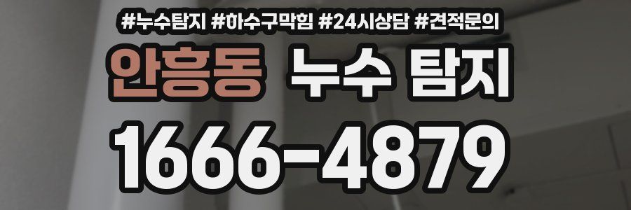 안흥동 누수 탐지
