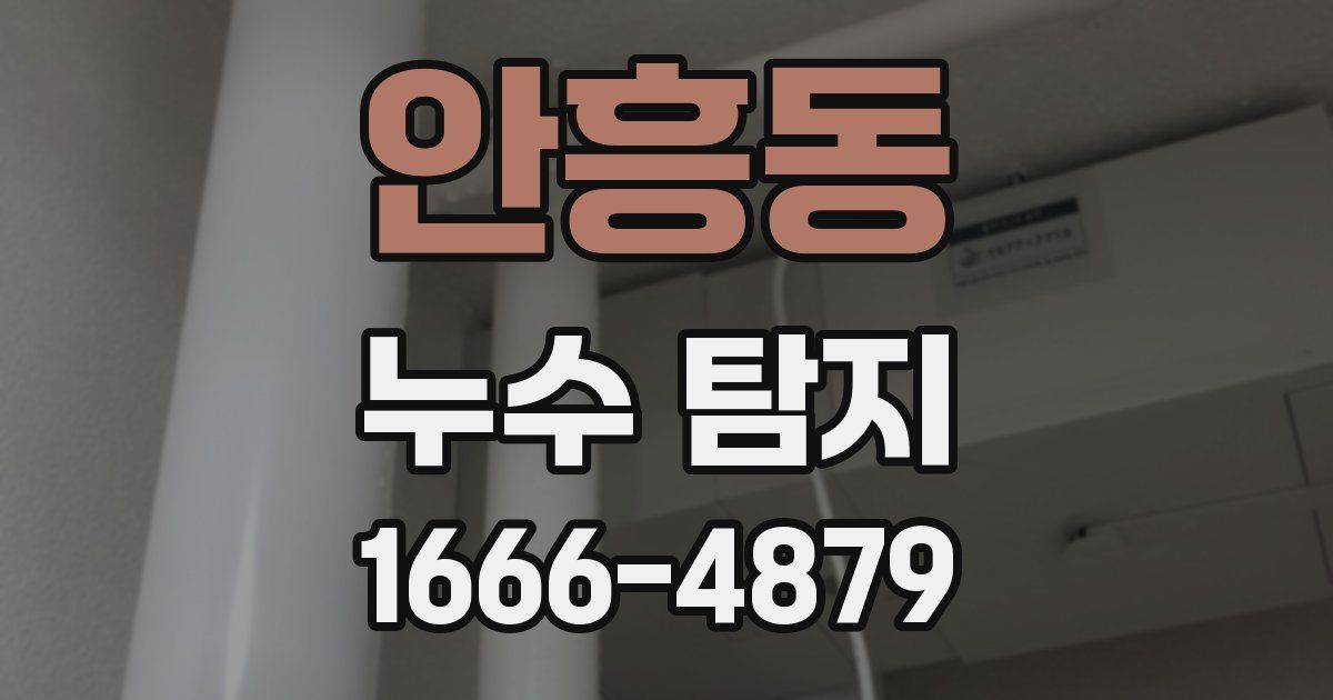 안흥동 누수 탐지