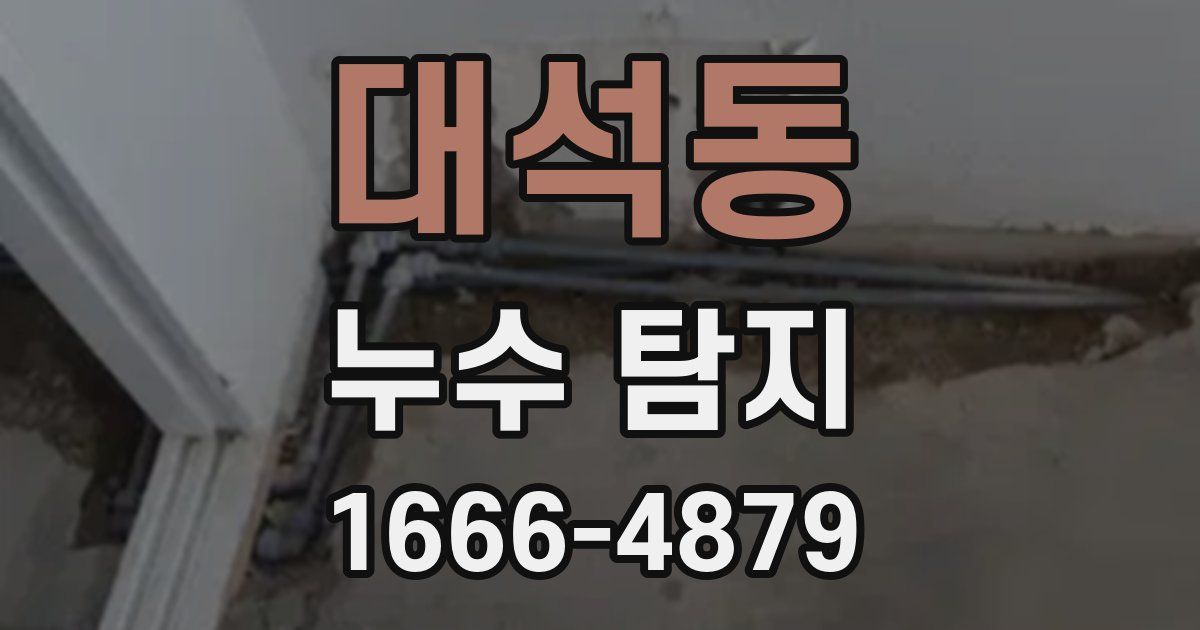 대석동 누수 탐지