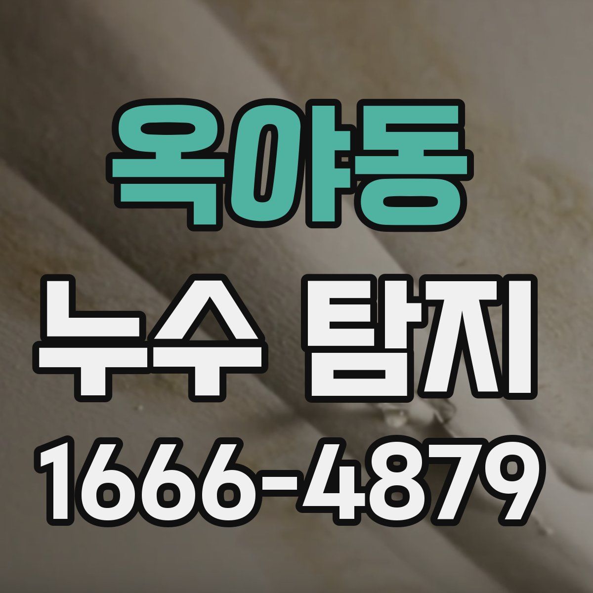 옥야동 누수 탐지