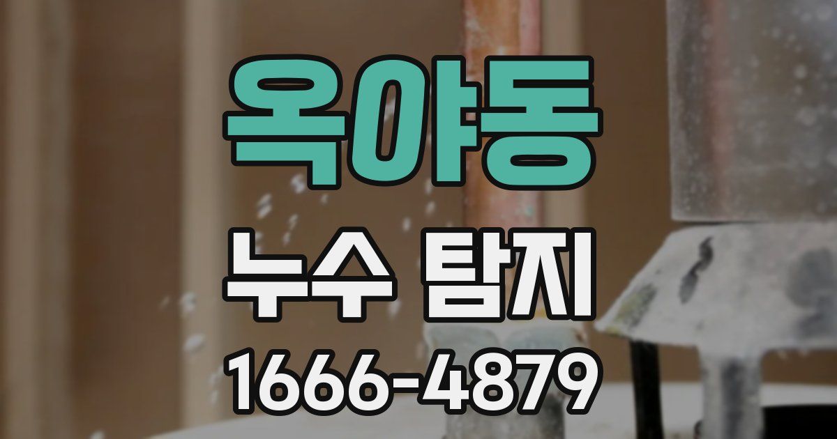 옥야동 누수 탐지