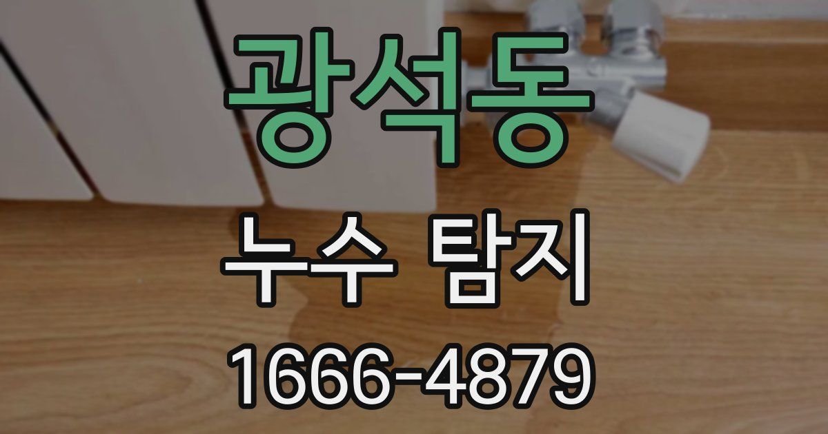 광석동 누수 탐지