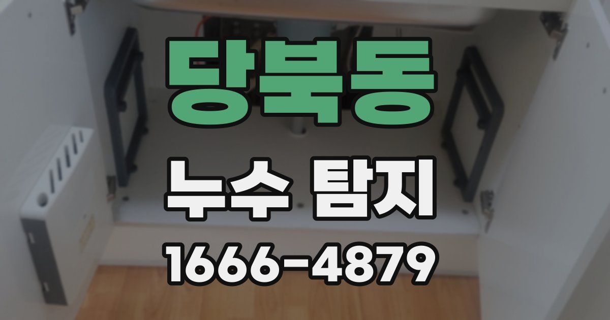 당북동 누수 탐지