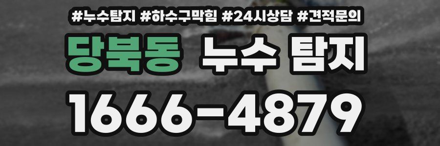 당북동 누수 탐지