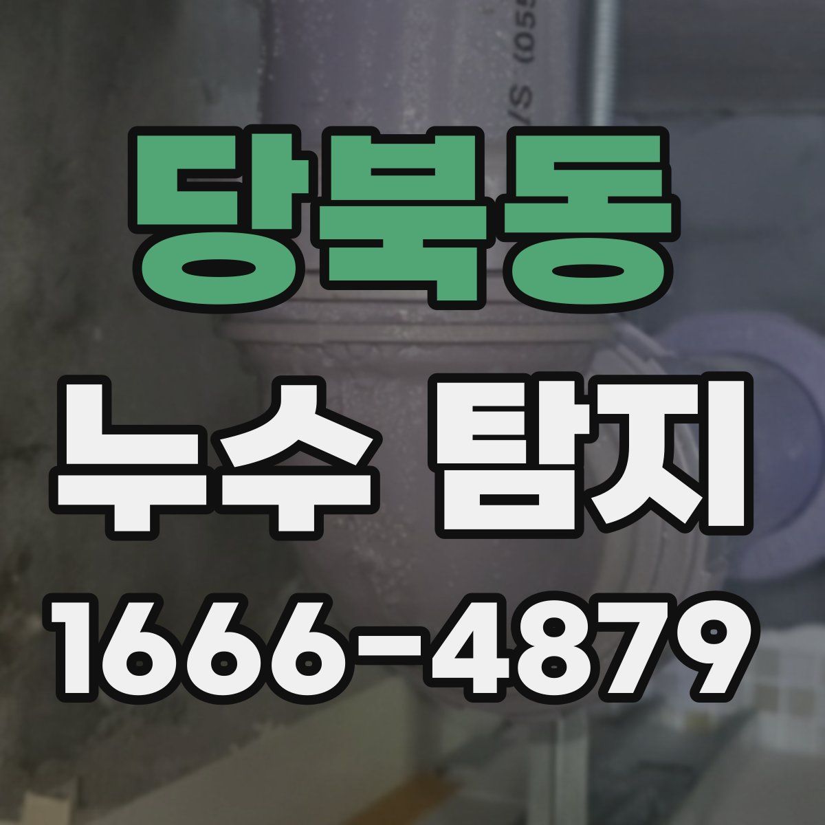 당북동 누수 탐지
