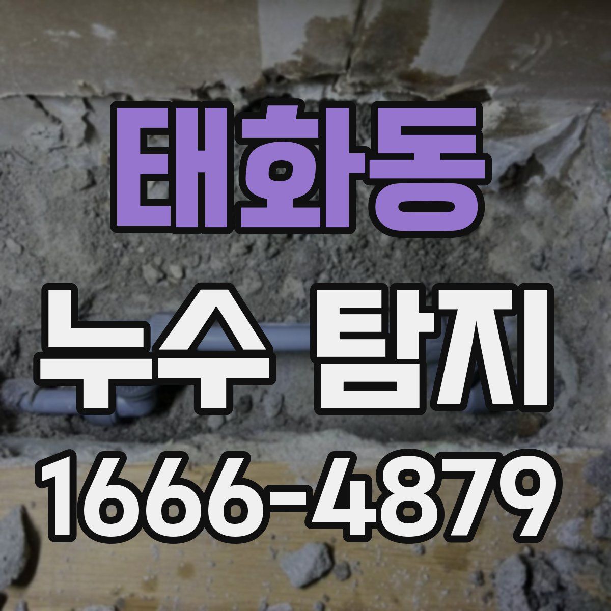태화동 누수 탐지