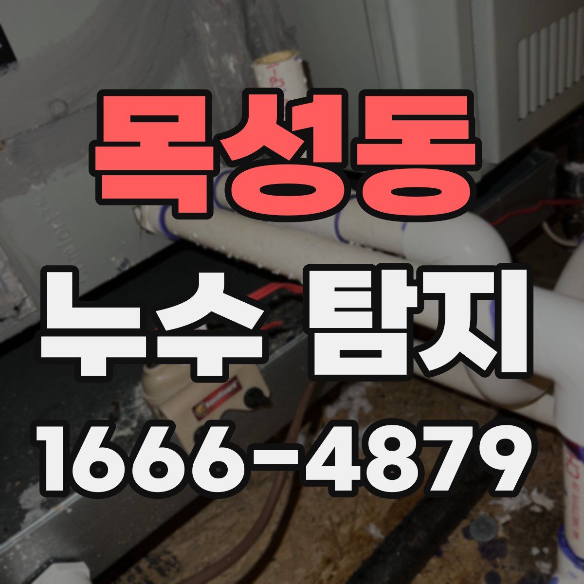 목성동 누수 탐지