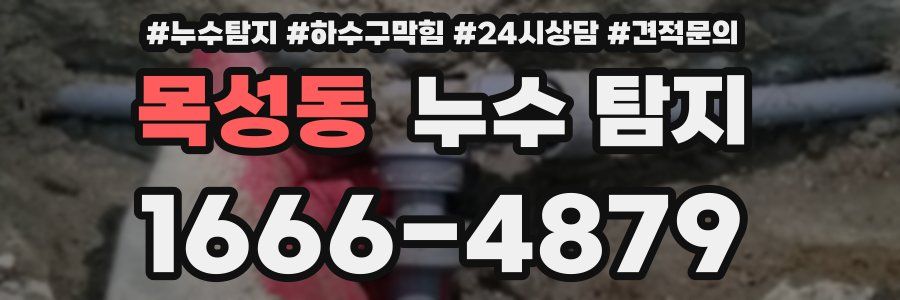 목성동 누수 탐지