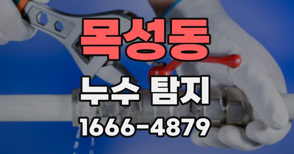 목성동 누수 탐지