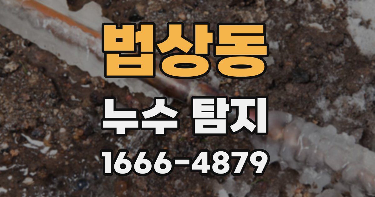 법상동 누수 탐지