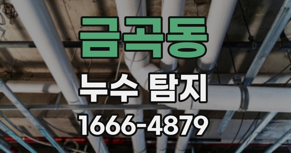 금곡동 누수 탐지