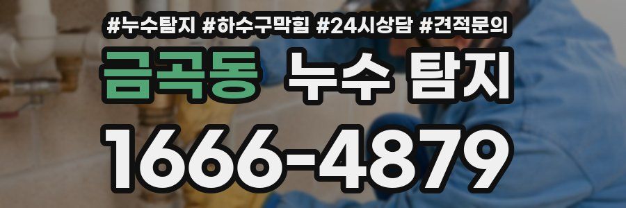 금곡동 누수 탐지