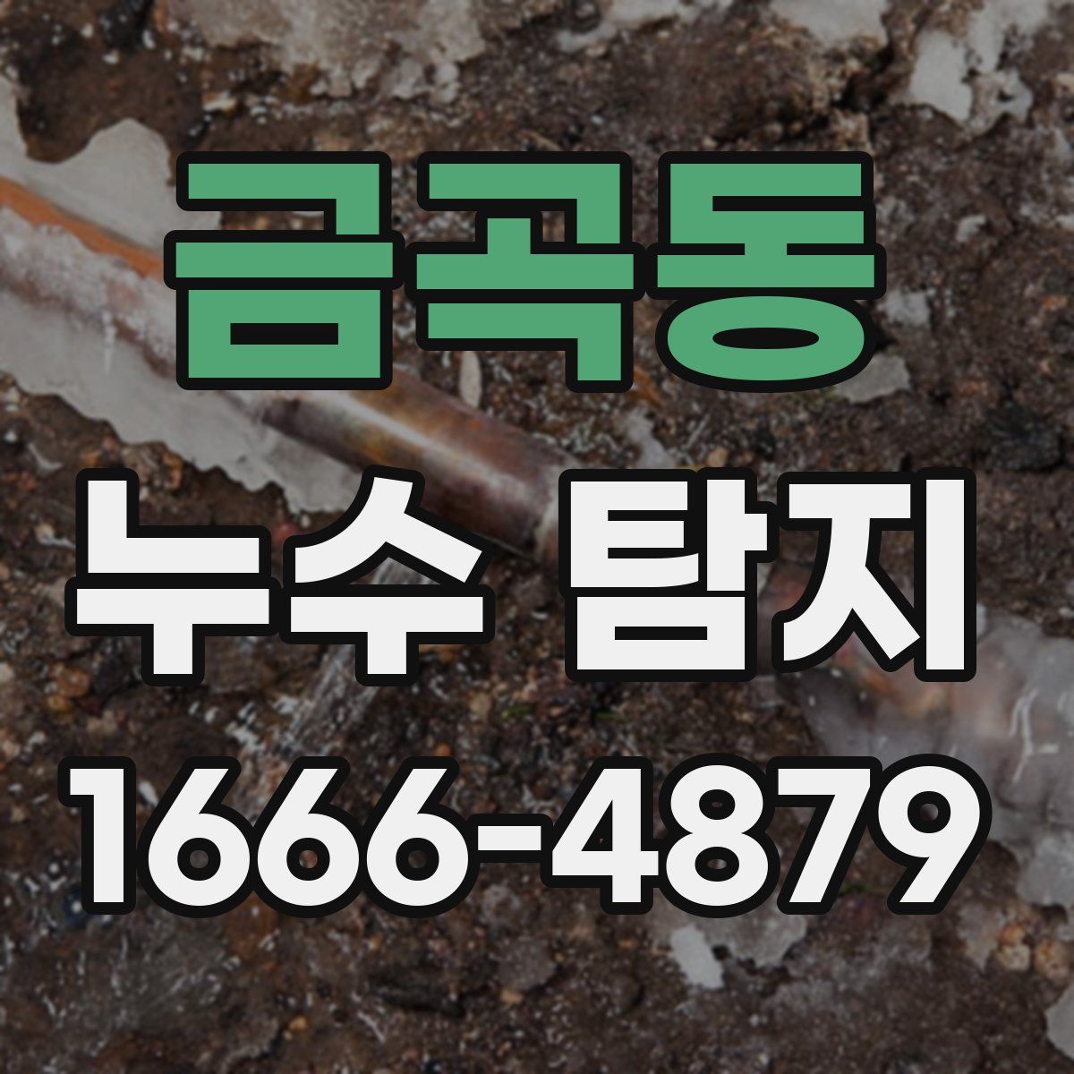 금곡동 누수 탐지