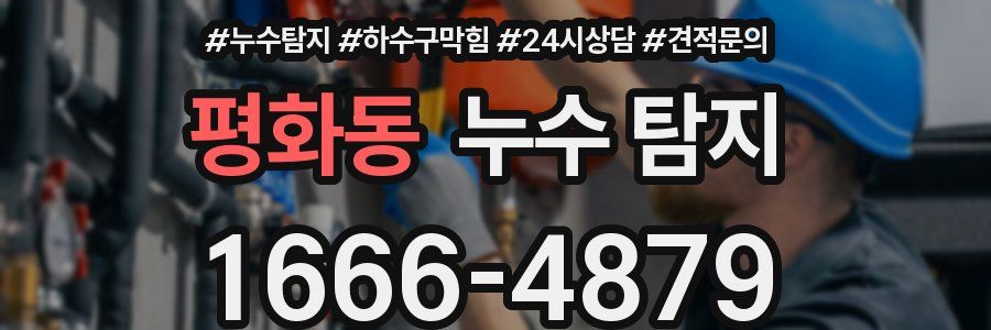 평화동 누수 탐지