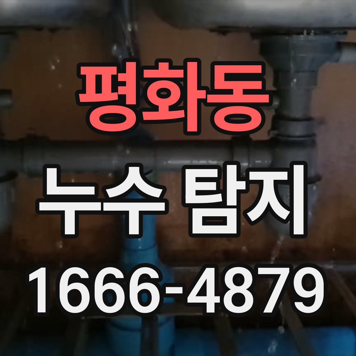 평화동 누수 탐지