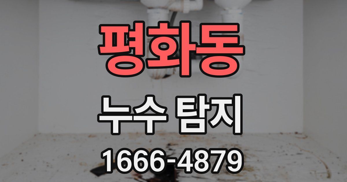 평화동 누수 탐지