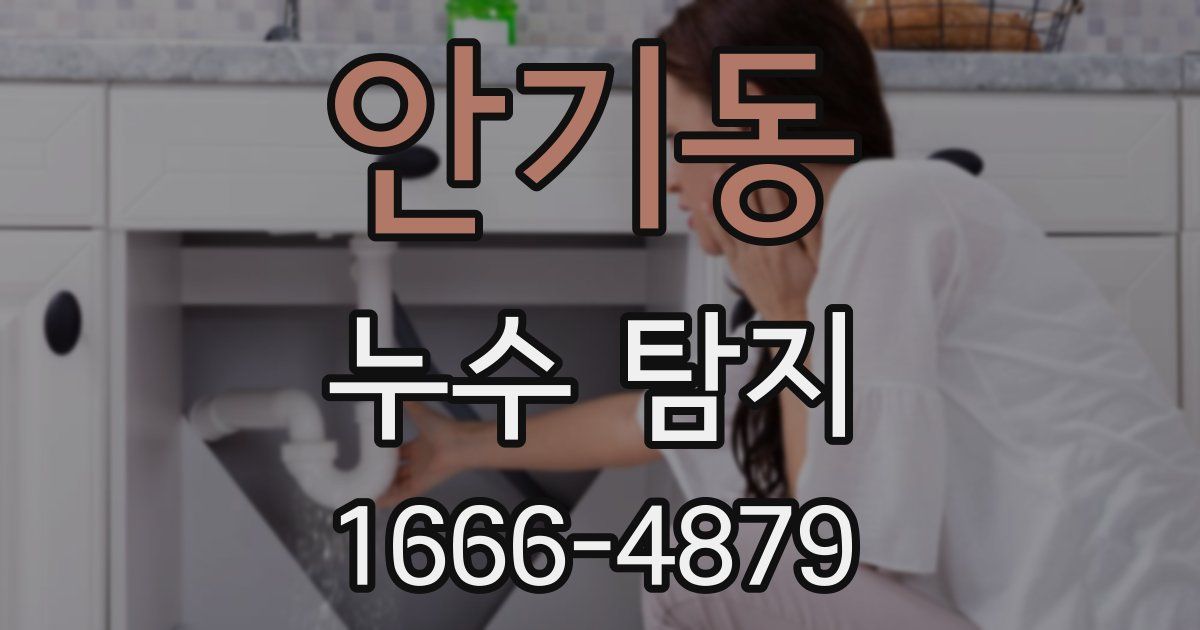 안기동 누수 탐지