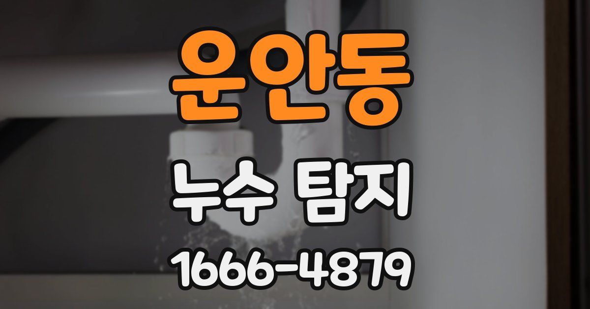 운안동 누수 탐지
