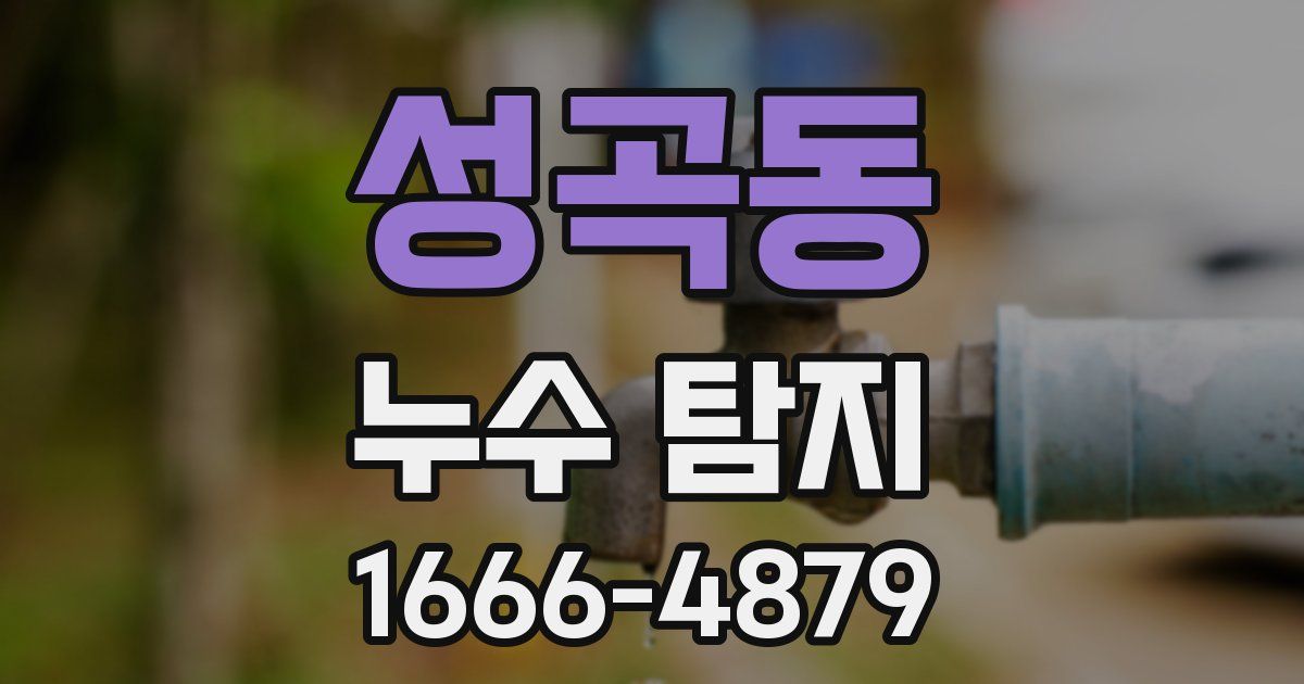 성곡동 누수 탐지