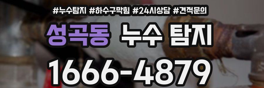 성곡동 누수 탐지