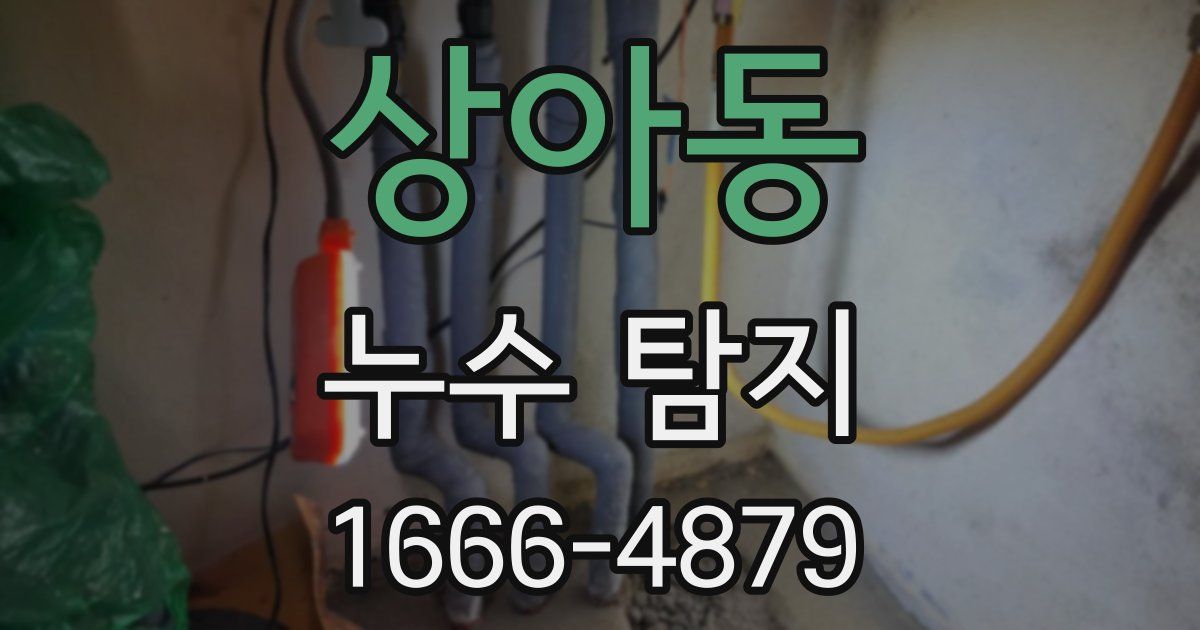 상아동 누수 탐지