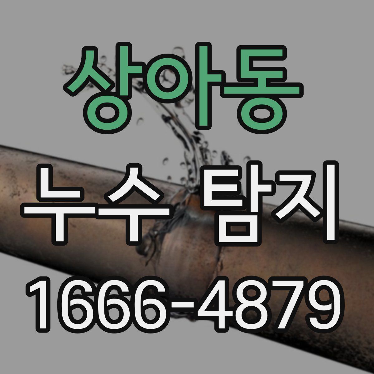 상아동 누수 탐지