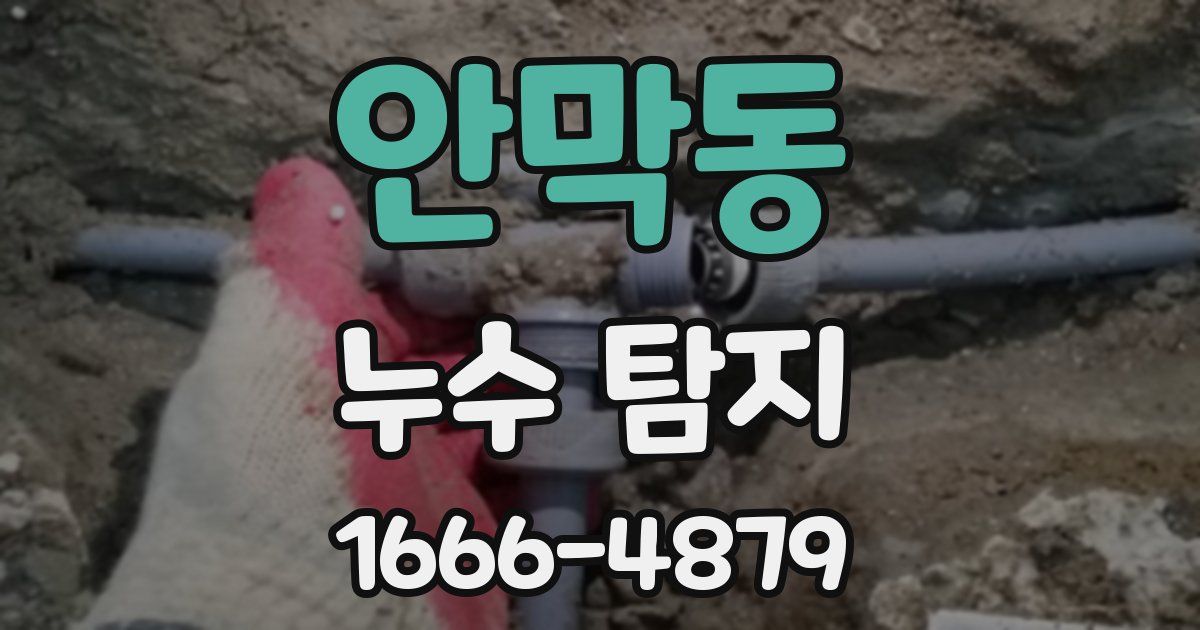 안막동 누수 탐지