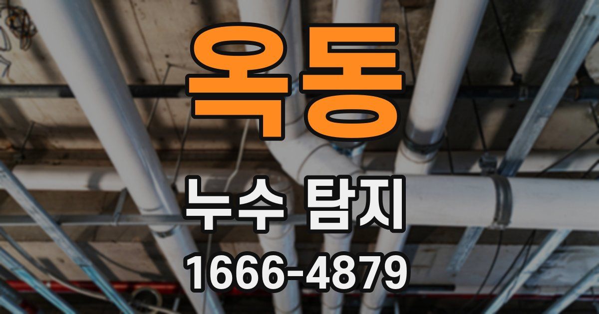 옥동 누수 탐지