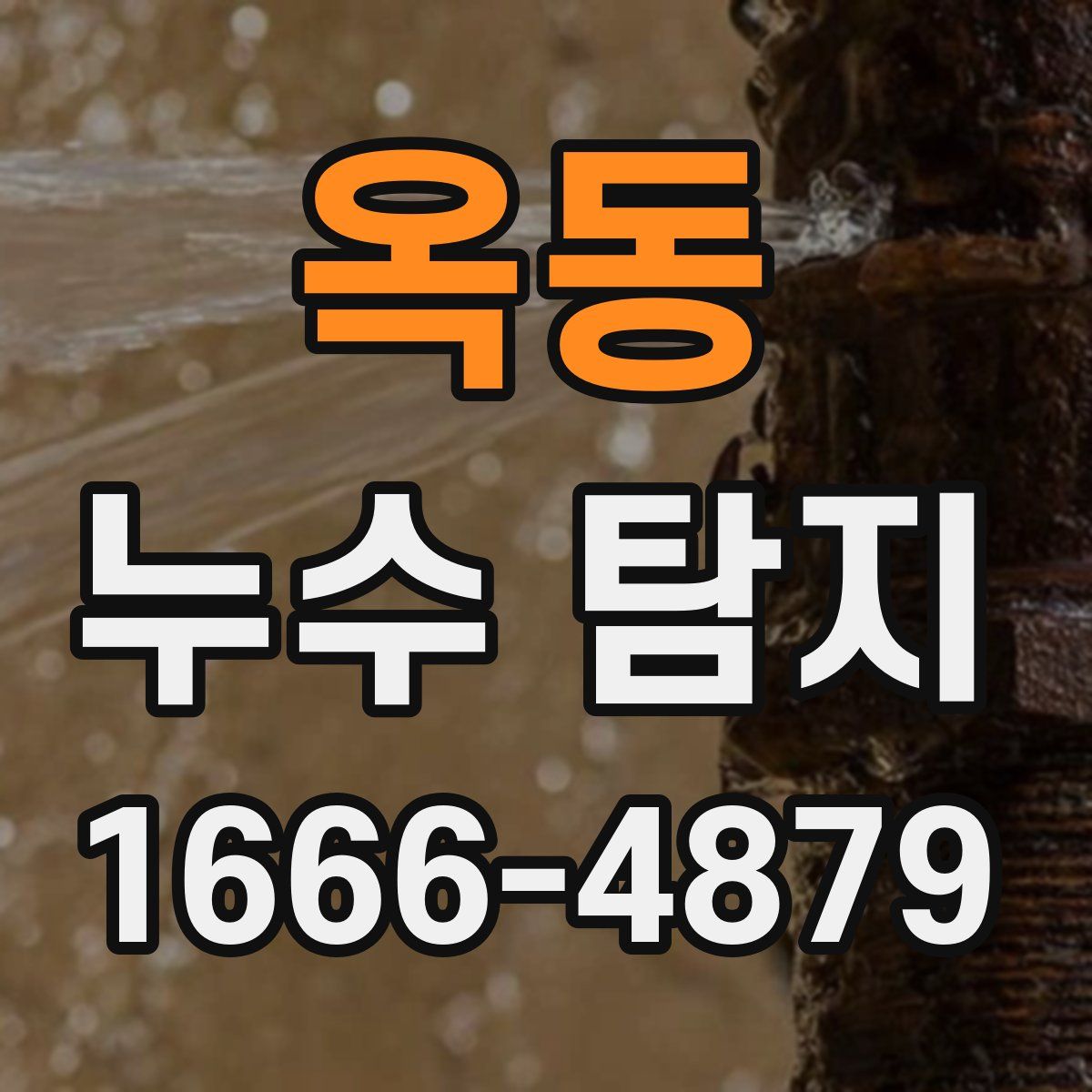 옥동 누수 탐지