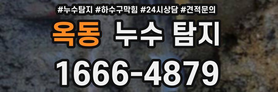 옥동 누수 탐지