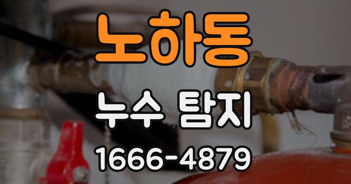 노하동 누수 탐지