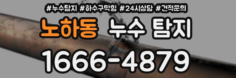 노하동 누수 탐지