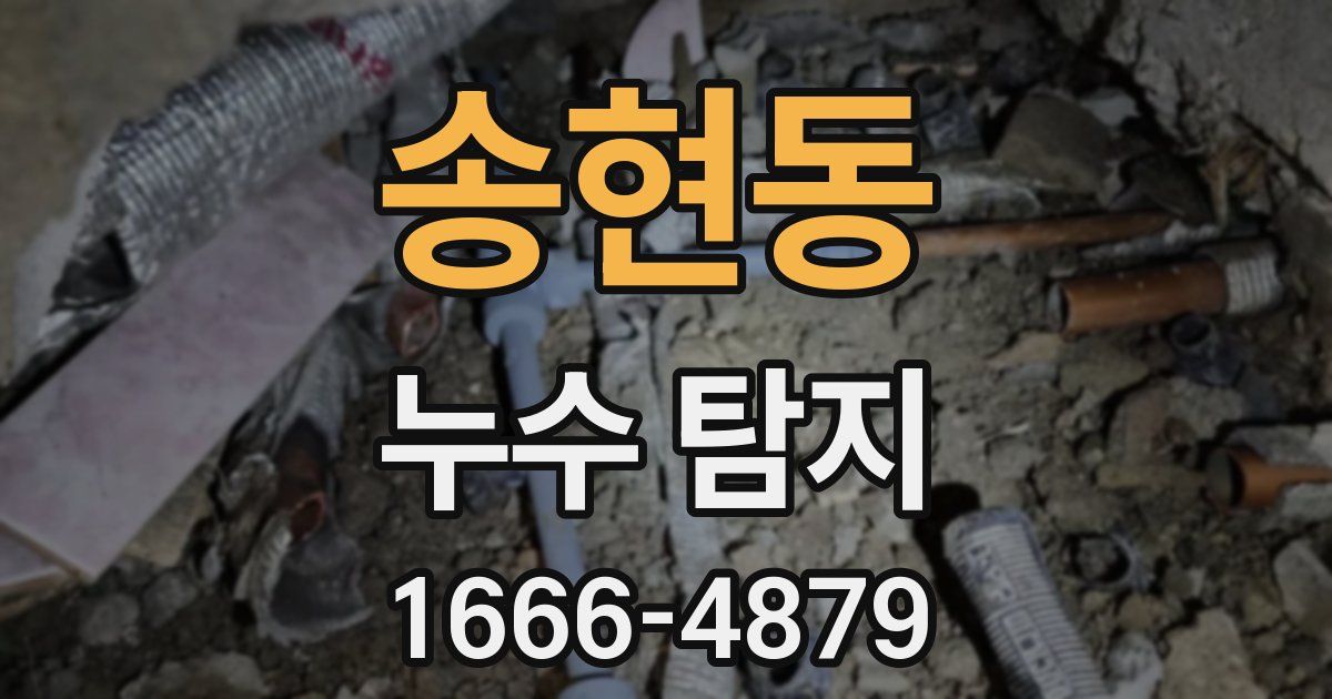 송현동 누수 탐지