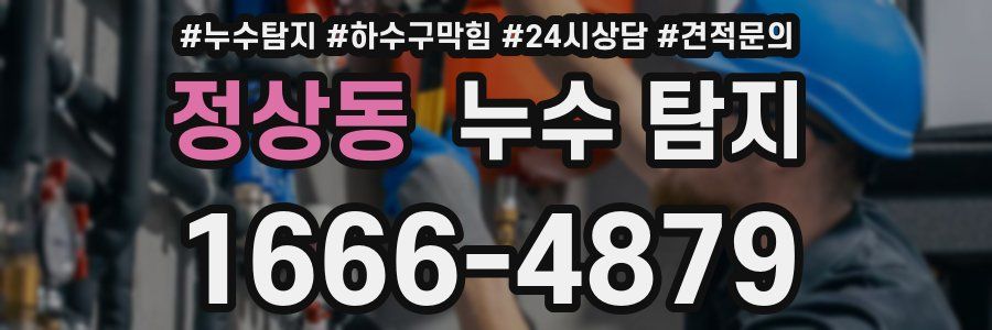 정상동 누수 탐지