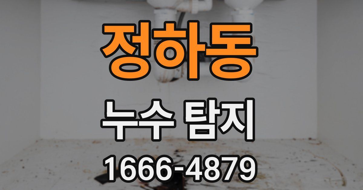 정하동 누수 탐지