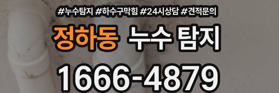 정하동 누수 탐지