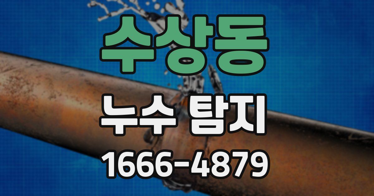 수상동 누수 탐지