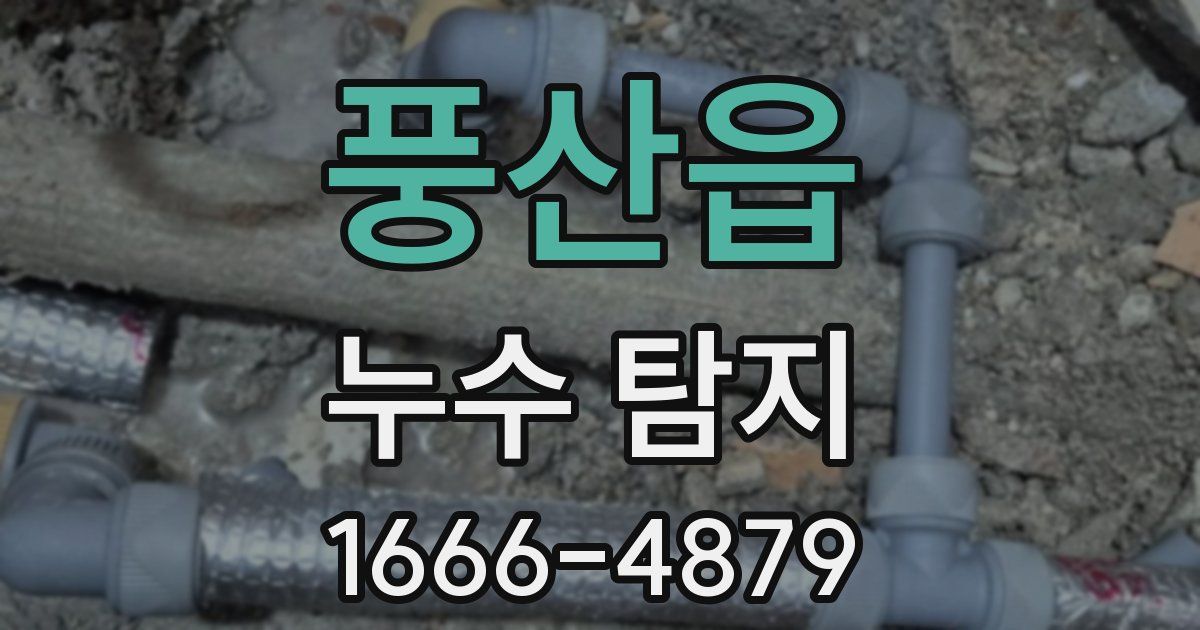 풍산읍 누수 탐지