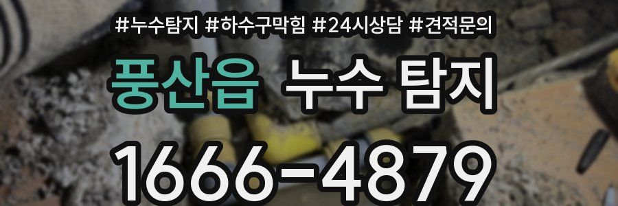 풍산읍 누수 탐지