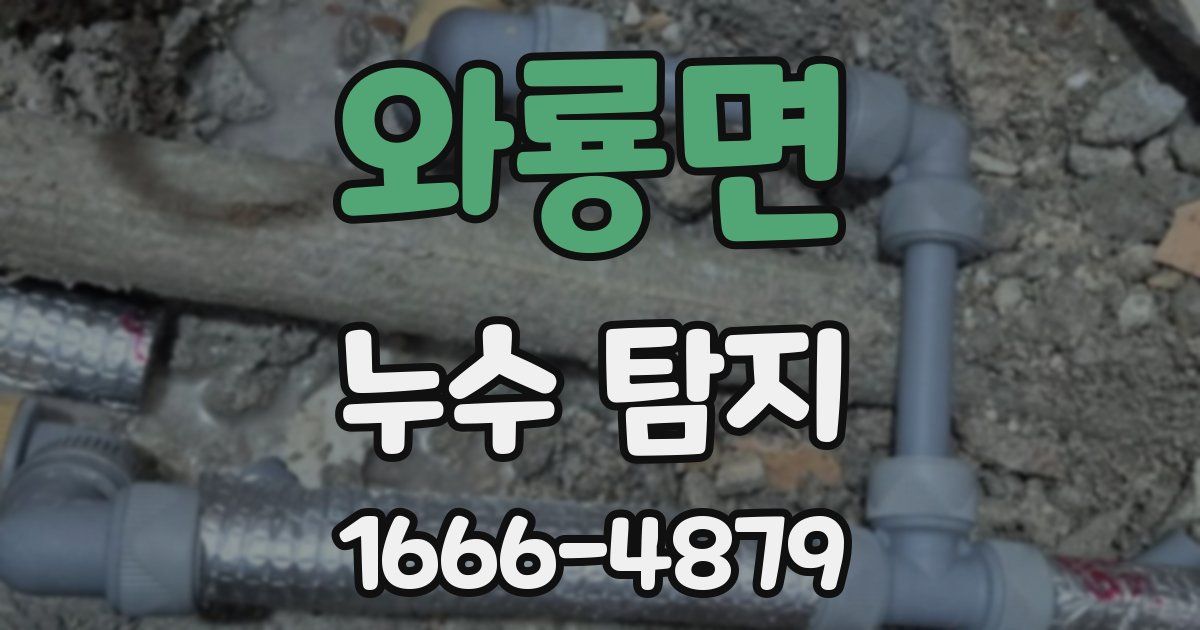와룡면 누수 탐지
