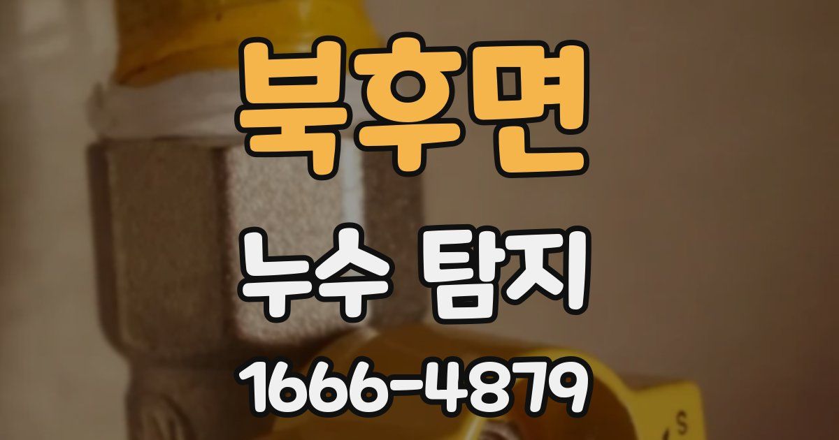 북후면 누수 탐지
