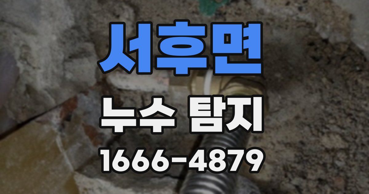 서후면 누수 탐지