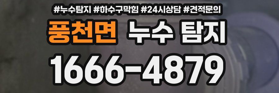 풍천면 누수 탐지