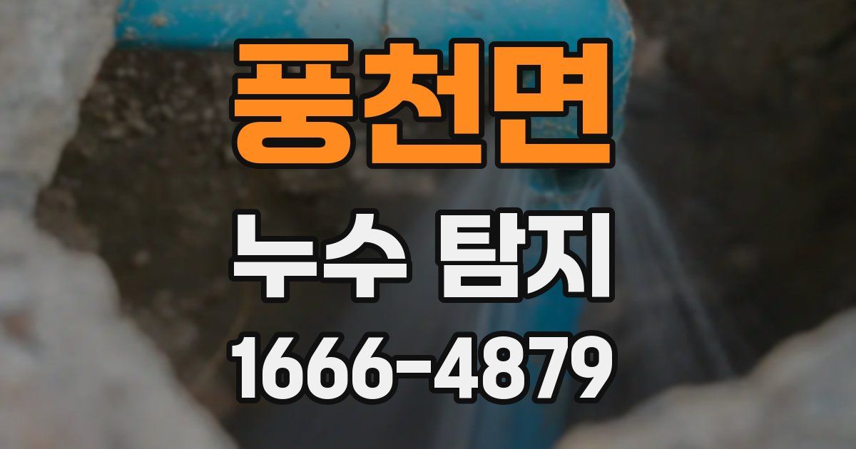풍천면 누수 탐지