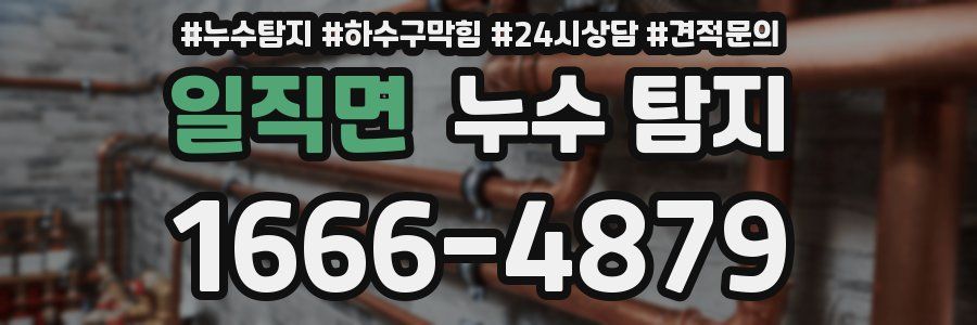 일직면 누수 탐지